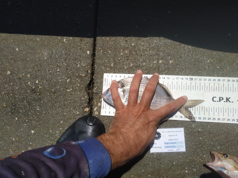 Fish Measure Picture