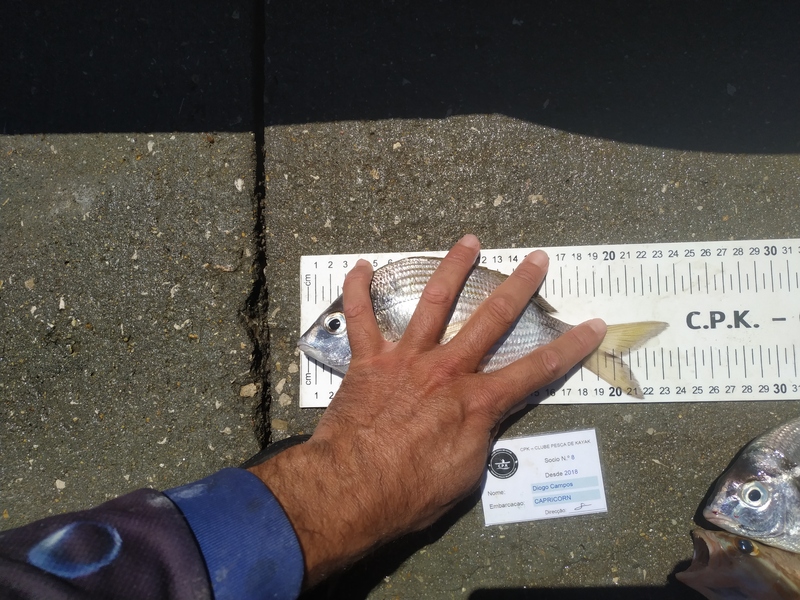 Fish Measure Picture