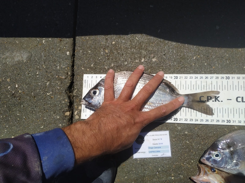 Fish Measure Picture