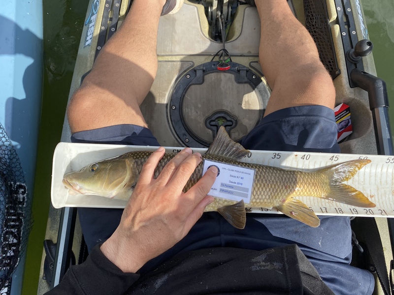 Fish Measure Picture