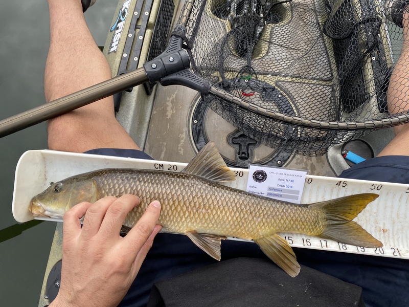 Fish Measure Picture