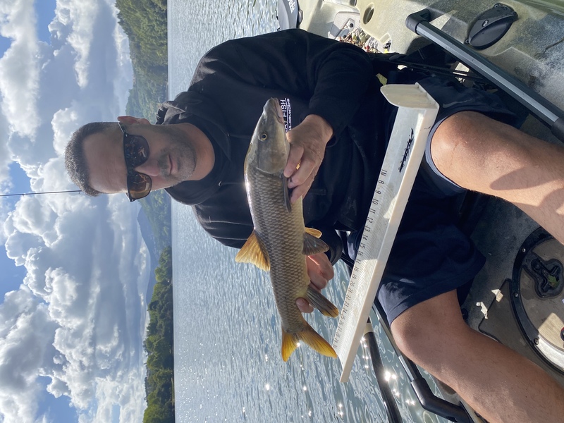 Fish Profile Picture