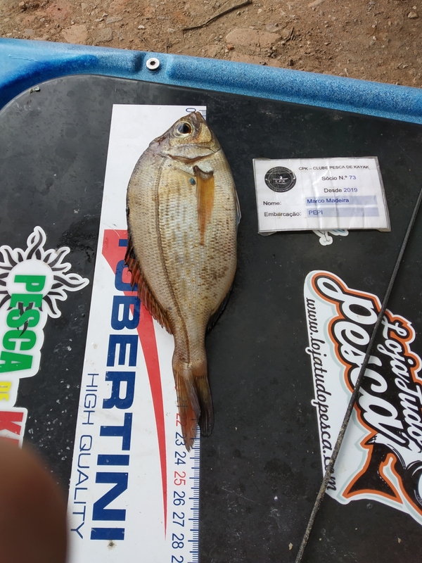 Fish Measure Picture