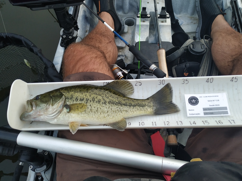 Fish Measure Picture