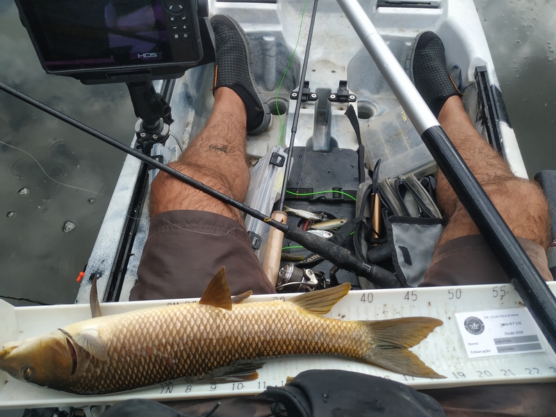Fish Measure Picture