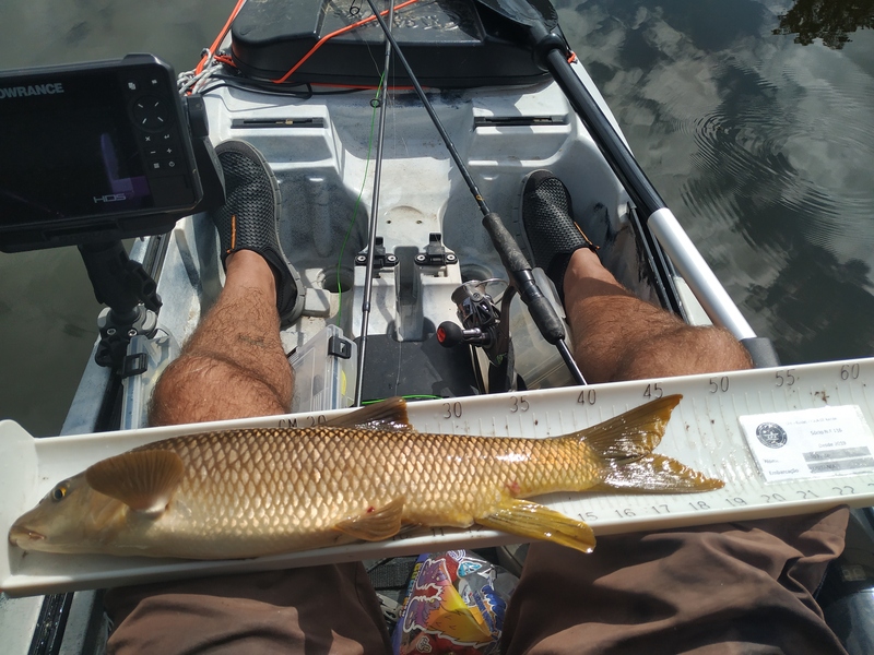 Fish Measure Picture