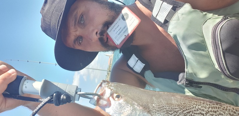 Fish Profile Picture