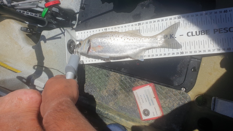 Fish Measure Picture