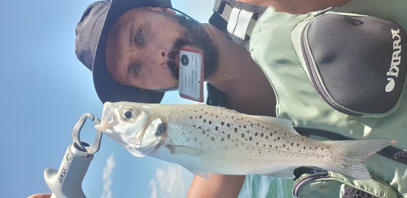 Fish Profile Picture