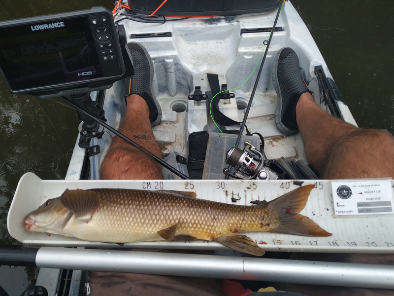 Fish Measure Picture