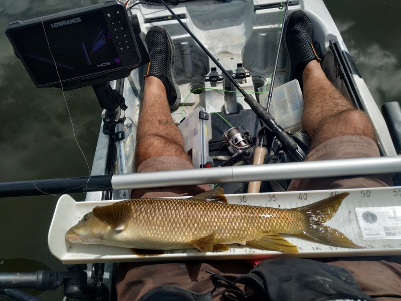 Fish Measure Picture