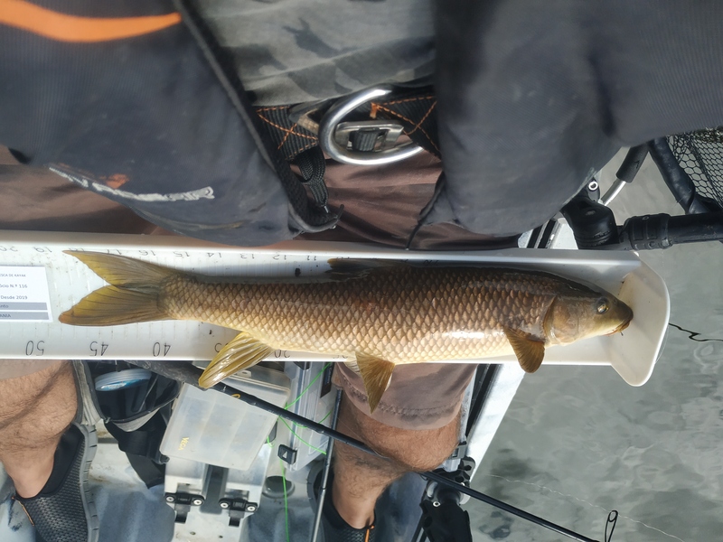 Fish Measure Picture