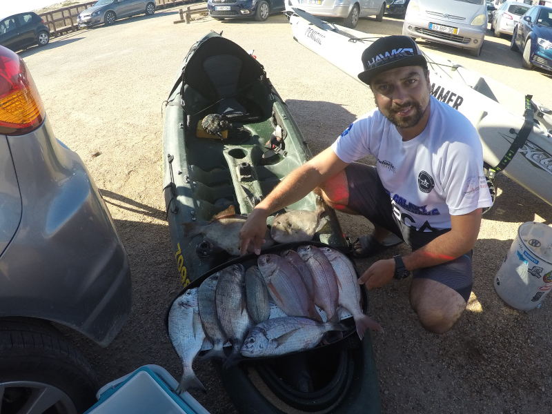 Fish Profile Picture