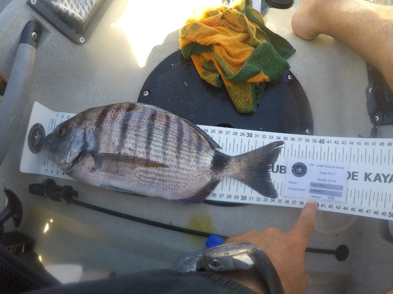 Fish Measure Picture
