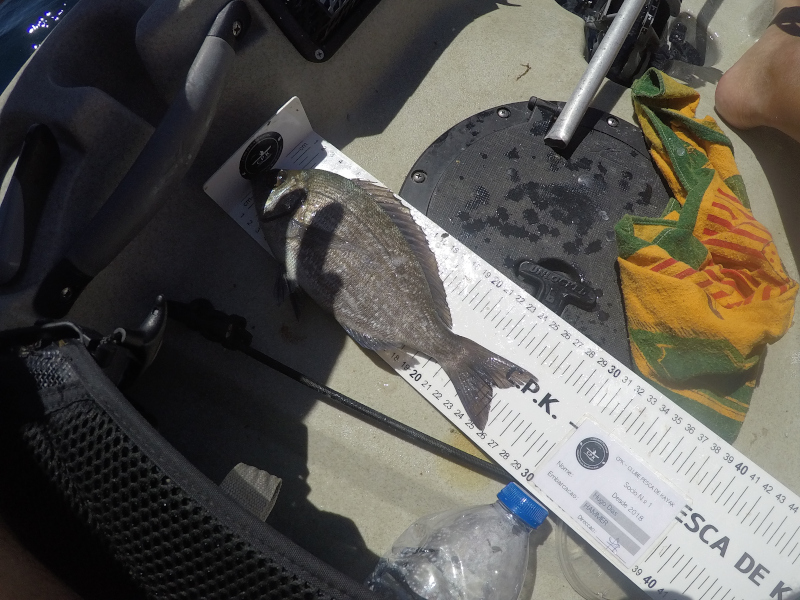 Fish Measure Picture