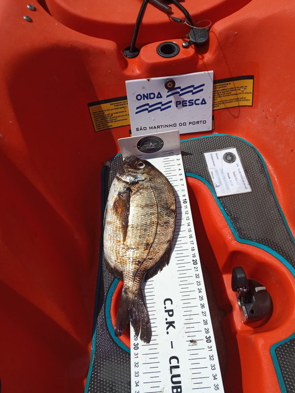 Fish Measure Picture