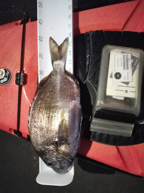 Fish Measure Picture