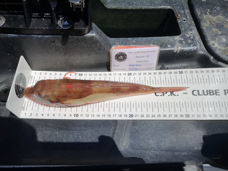 Fish Measure Picture