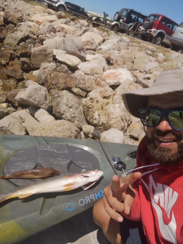 Fish Profile Picture