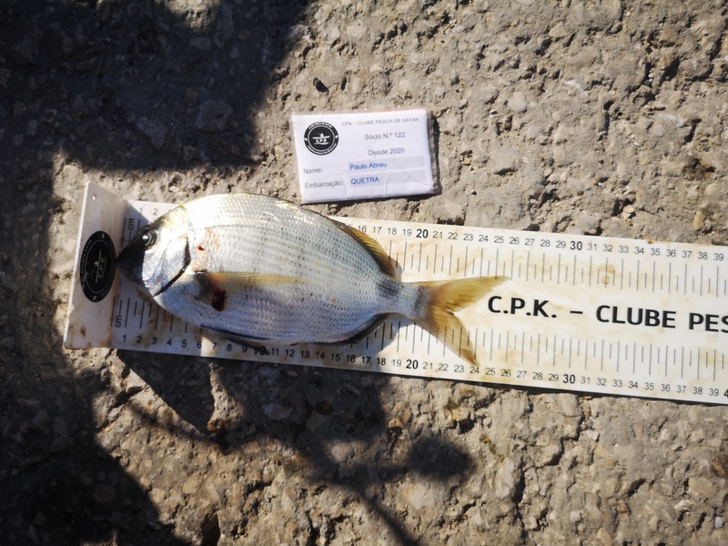Fish Measure Picture