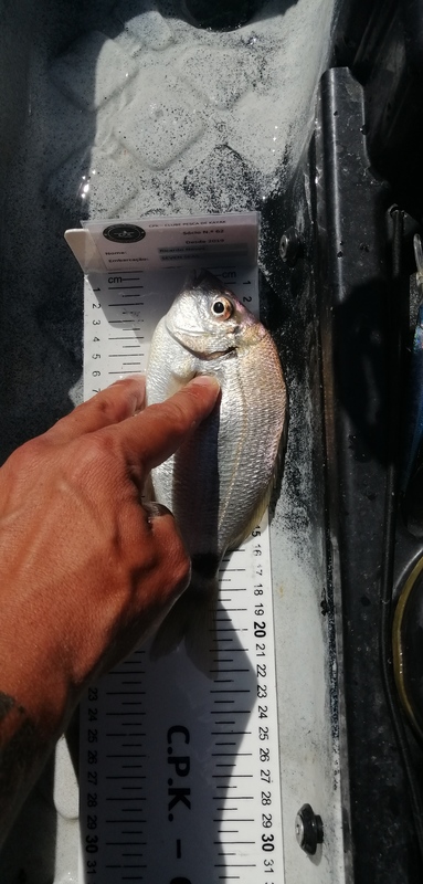 Fish Measure Picture