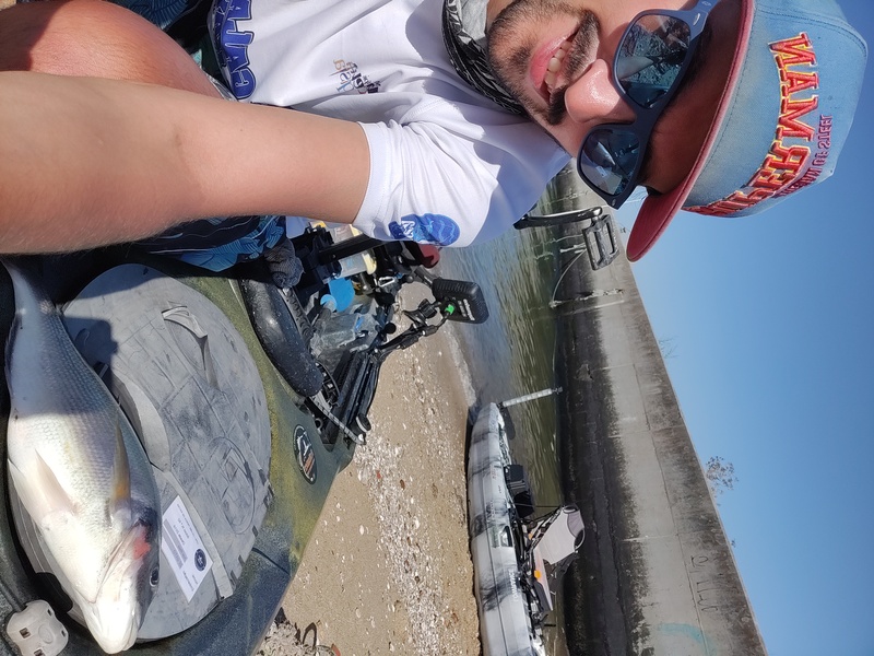 Fish Profile Picture
