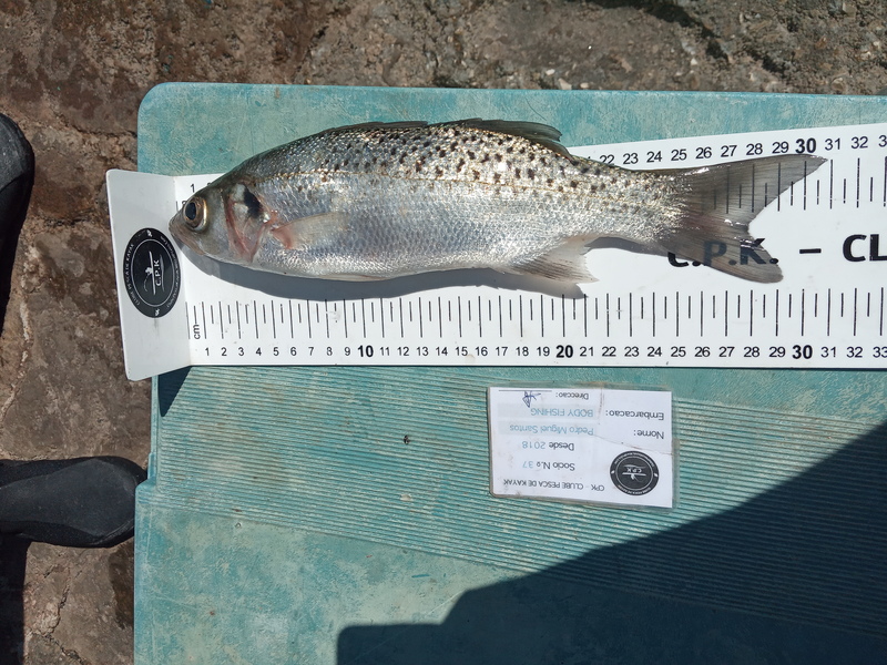 Fish Measure Picture