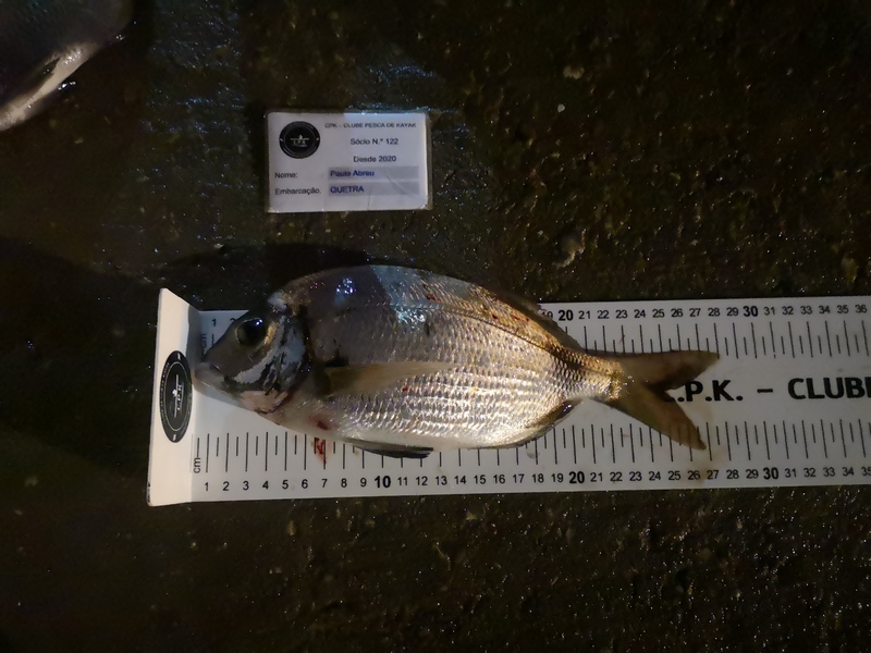 Fish Measure Picture