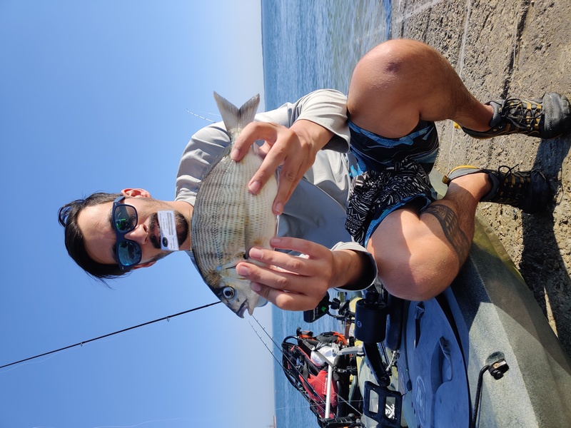 Fish Profile Picture