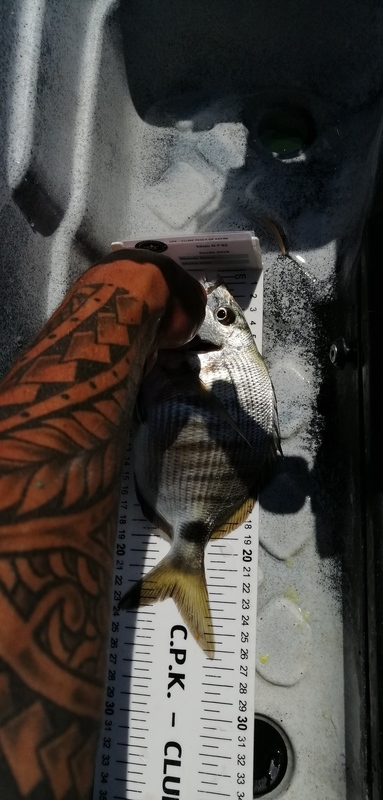 Fish Measure Picture