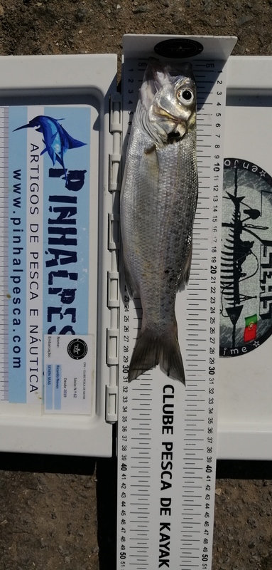Fish Measure Picture