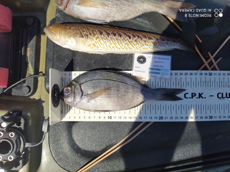 Fish Measure Picture