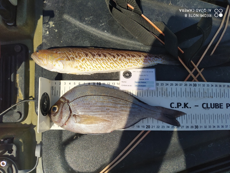 Fish Measure Picture
