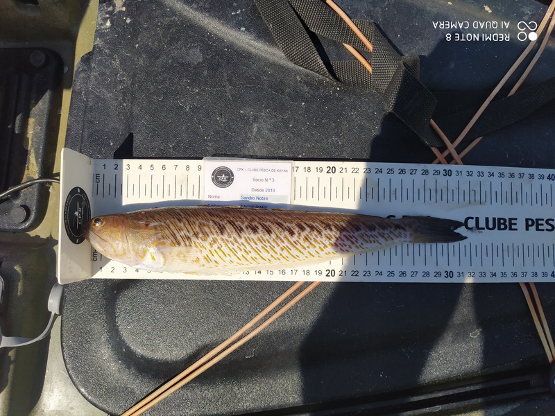 Fish Measure Picture