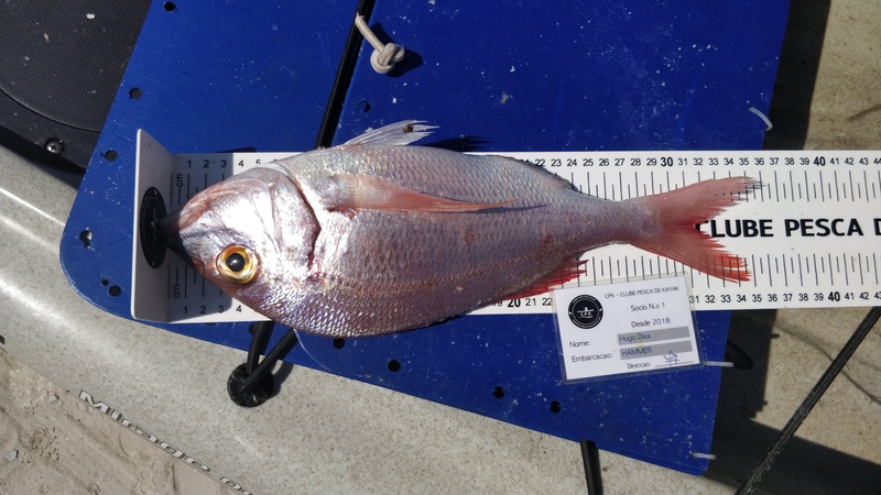 Fish Measure Picture