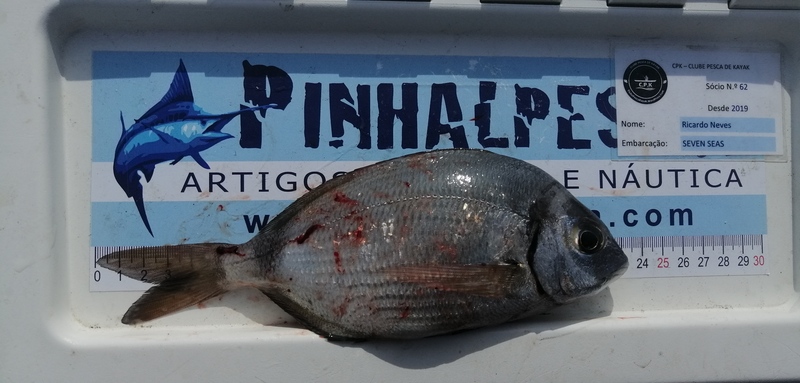 Fish Measure Picture