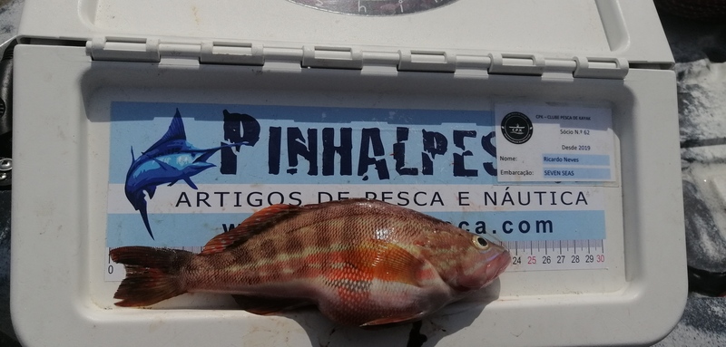 Fish Measure Picture