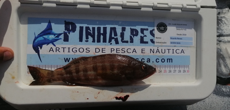 Fish Measure Picture