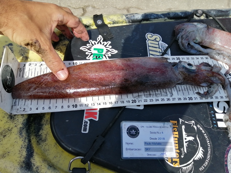 Fish Measure Picture
