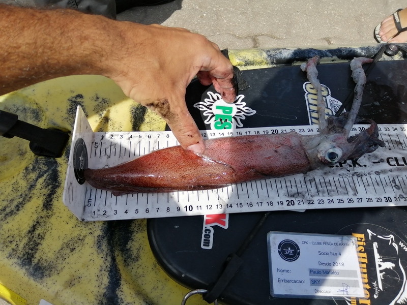 Fish Measure Picture