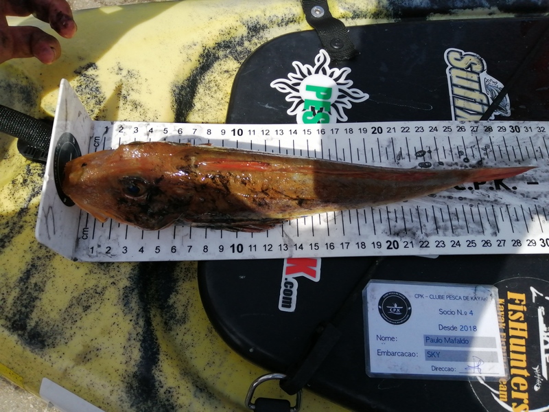 Fish Measure Picture