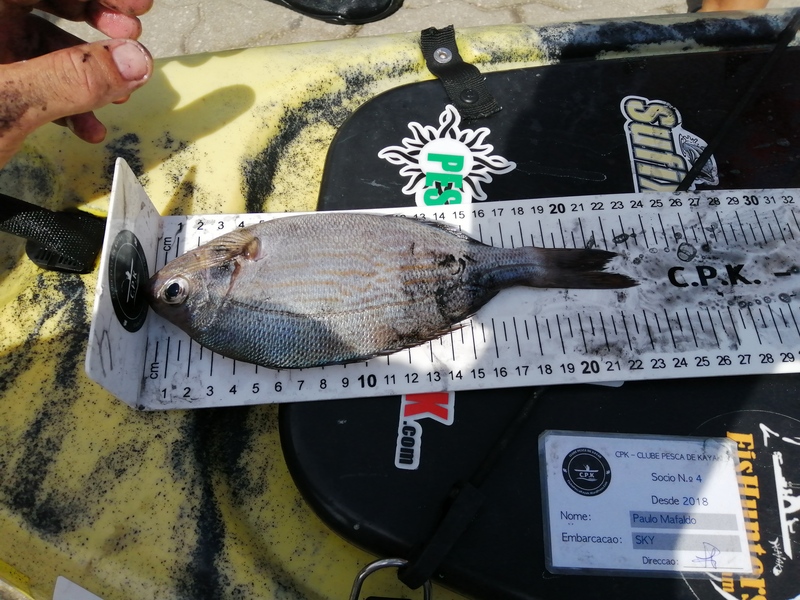 Fish Measure Picture