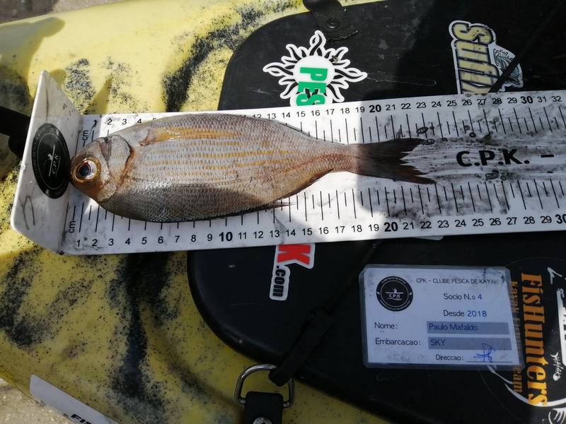 Fish Measure Picture