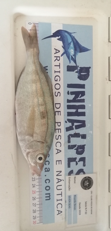 Fish Measure Picture