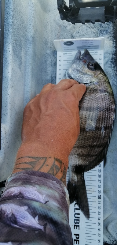 Fish Measure Picture
