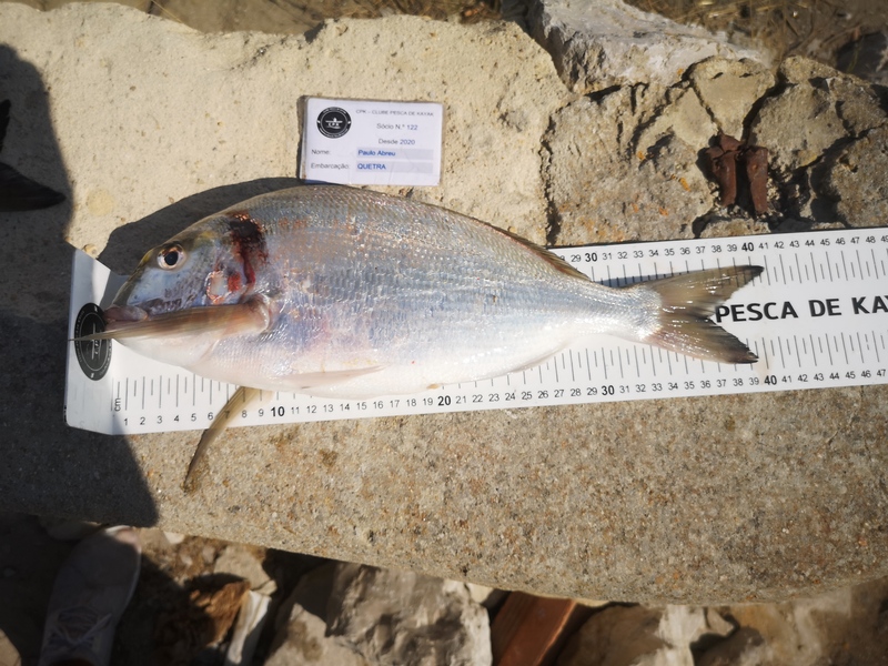 Fish Measure Picture