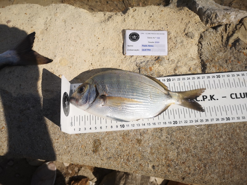 Fish Measure Picture