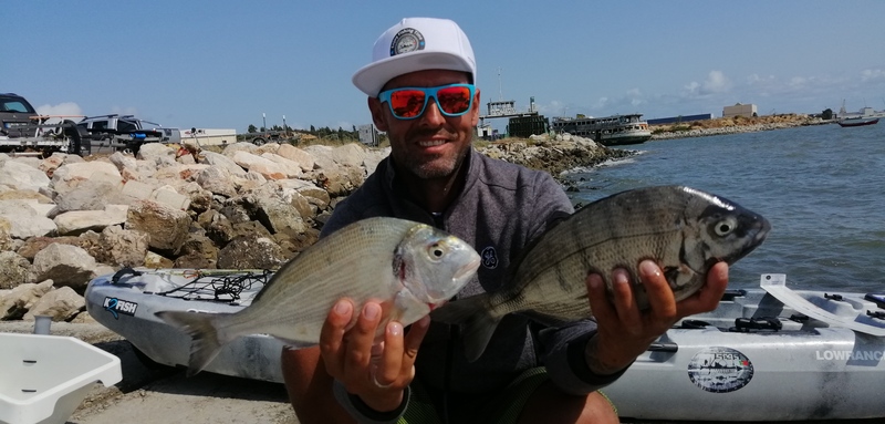 Fish Profile Picture