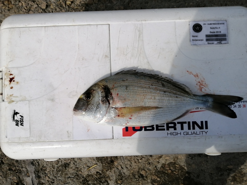Fish Measure Picture