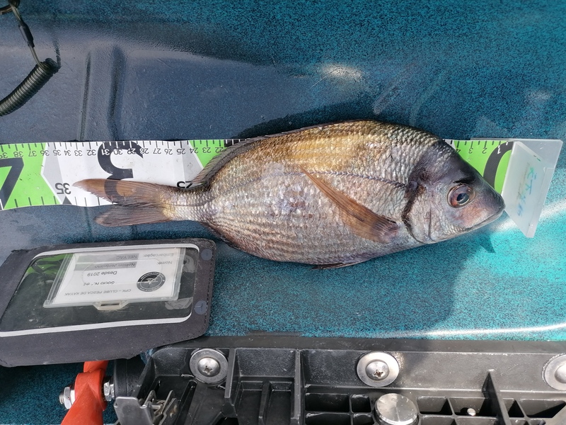 Fish Measure Picture